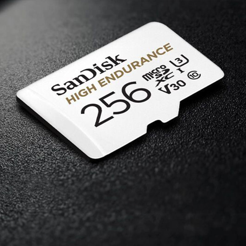 SanDisk High Endurance 256GB Micro SD Card
